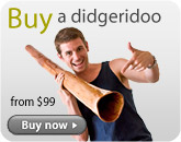Buy a Didgeridoo Online from $99