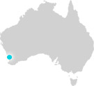 Didgeridoo Breath live in Fremantle, Western Australia